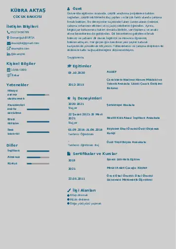 Çocuk Bakıcısı CV Örnekleri cv indir